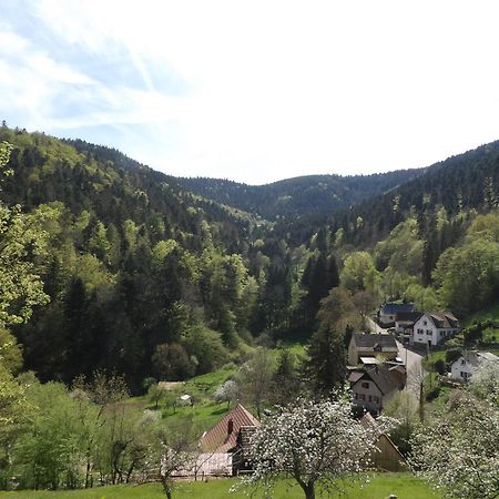 Studio A Murbach Au Calme Екстер'єр фото