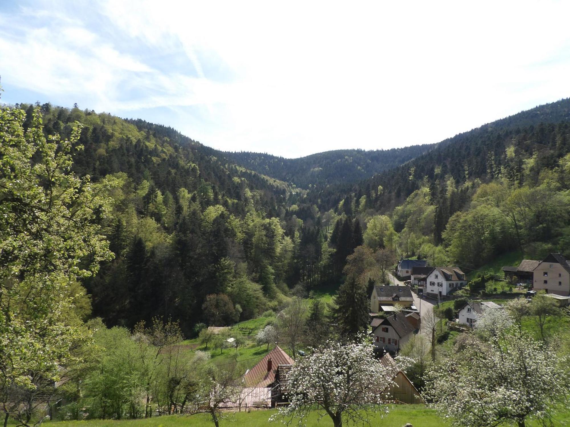 Studio A Murbach Au Calme Екстер'єр фото