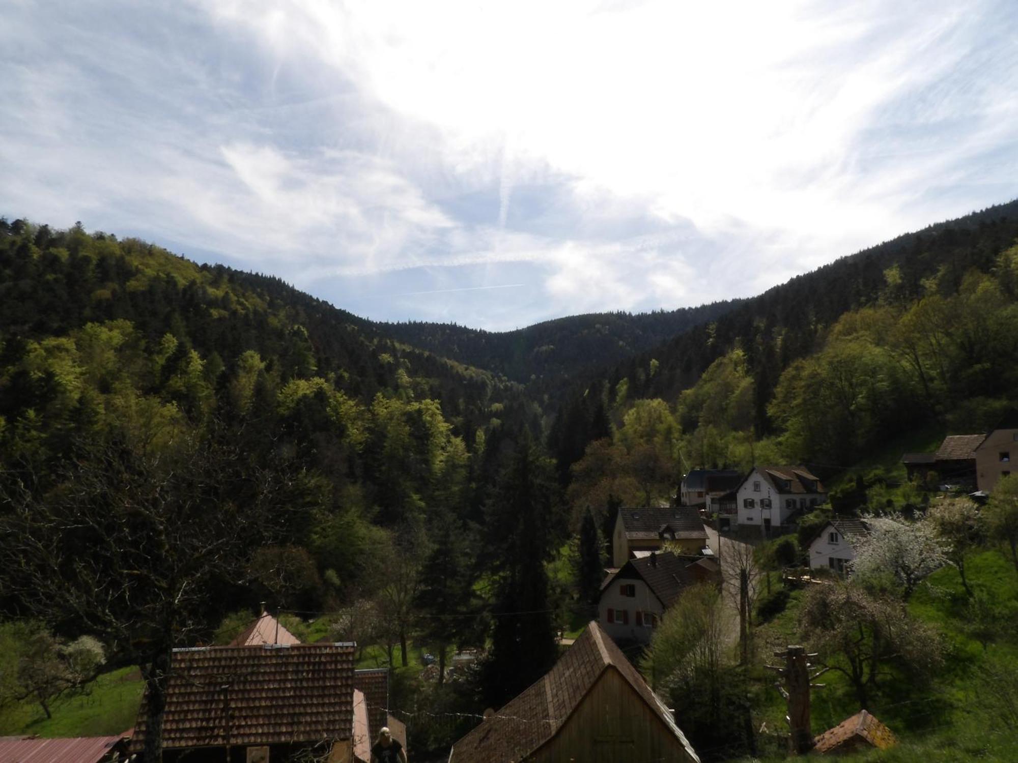 Studio A Murbach Au Calme Екстер'єр фото